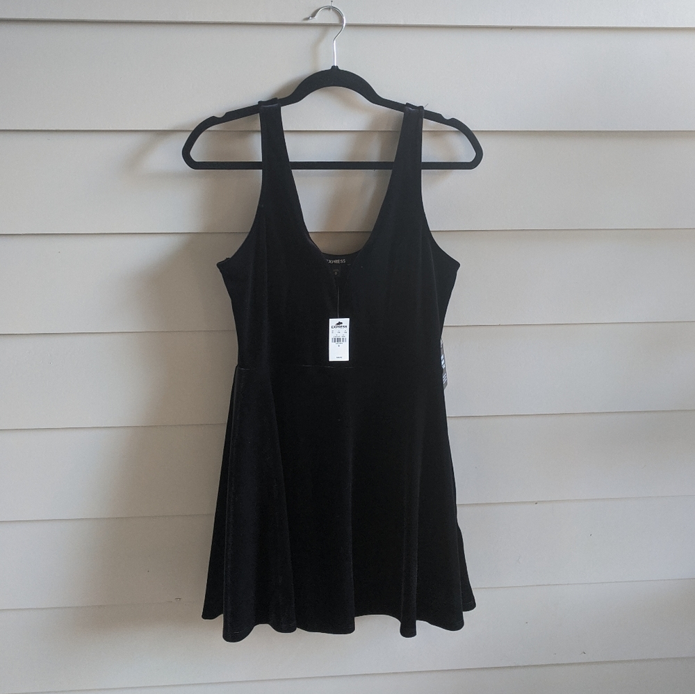 Express Velvet Mini Skater Dress